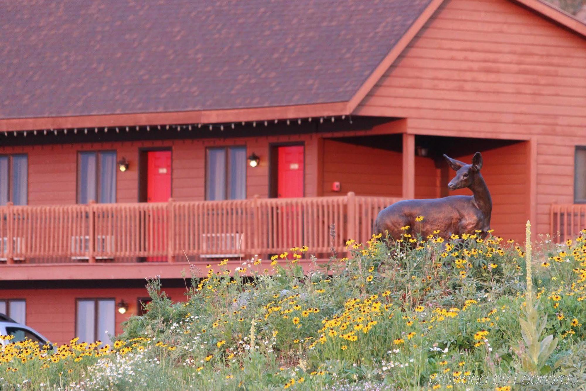 Flat Creek Inn Jackson Exterior foto